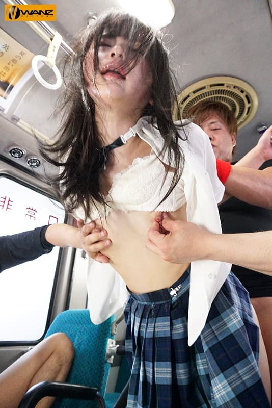 痴漢にあいやすいという女子高生の電車内エロ-8